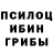 Псилоцибиновые грибы прущие грибы Dayami Soto