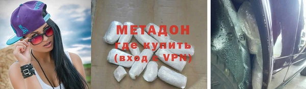прущие грибы Арсеньев