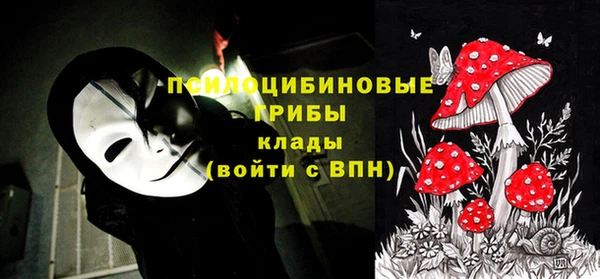 прущие грибы Арсеньев