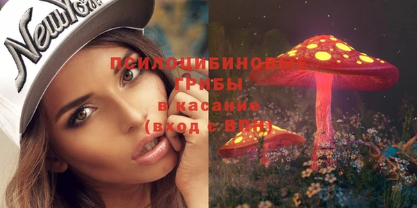 прущий лед Аркадак