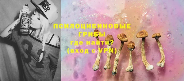 прущие грибы Арсеньев