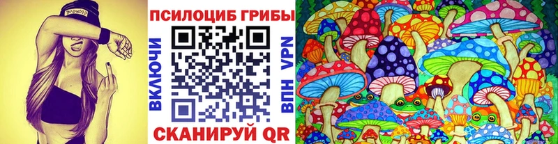 МЕГА рабочий сайт  что такое   Грязовец  Псилоцибиновые грибы Psilocybine cubensis 